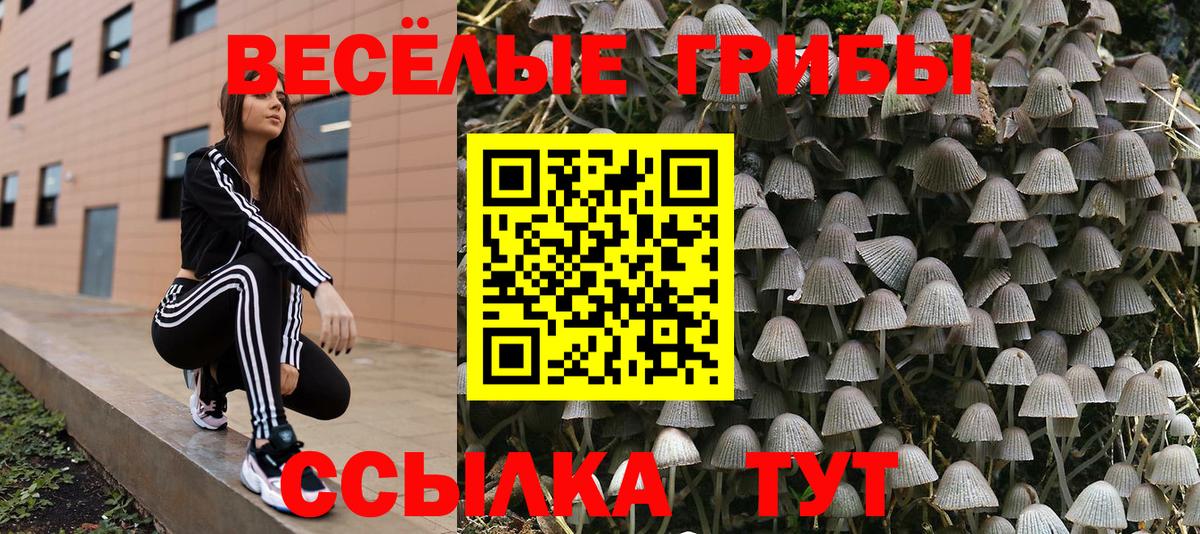 Евпатория  Галлюциногенные грибы Psilocybine cubensis  Вход с VPN 