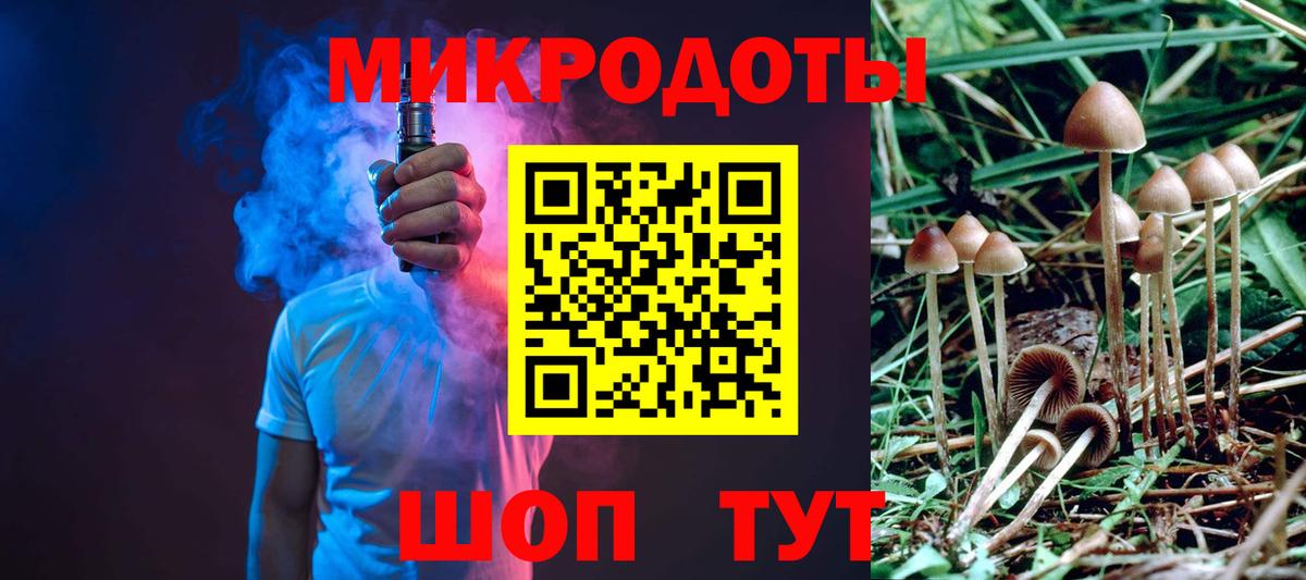 Галлюциногенные грибы Psilocybe Евпатория